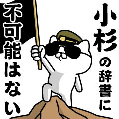 "KOSUGI"name/Military cat