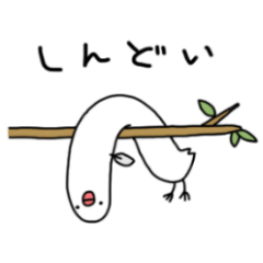 A paddybird Rami-chan