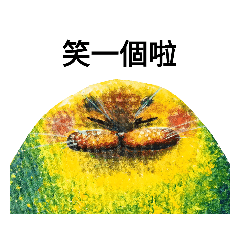 極星小貼圖