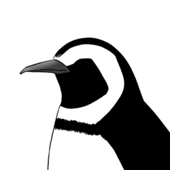 4 penguins sticker