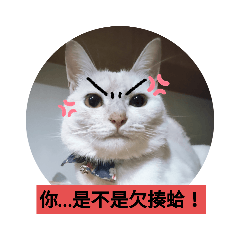 i love mimi2