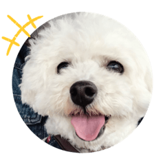 Kurumi_20200211120529