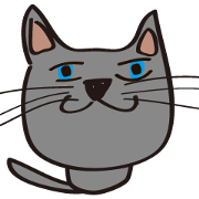 Russian Blue Cat HINATA