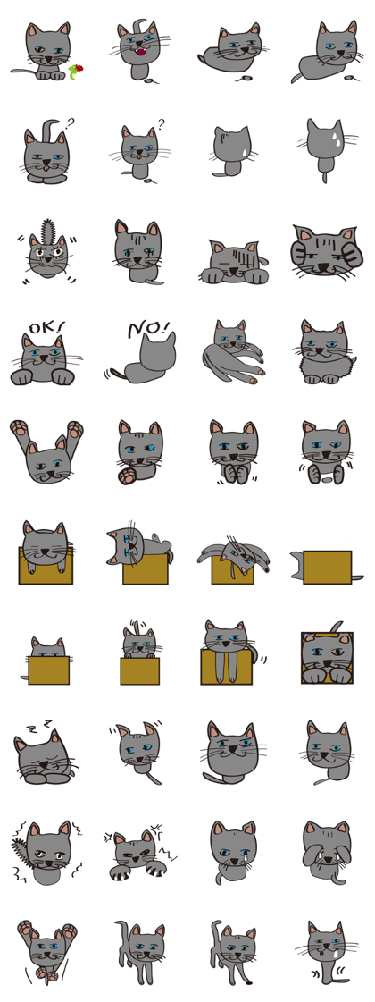 Russian Blue Cat HINATA