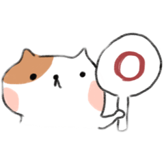 花紋不固定的貓咪-1