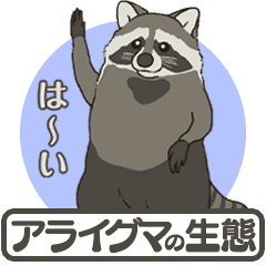 アライグマの生態 どうぶつアニメスタンプ Line スタンプ Line Store