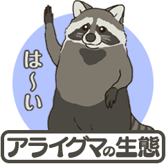 Raccoon ecology