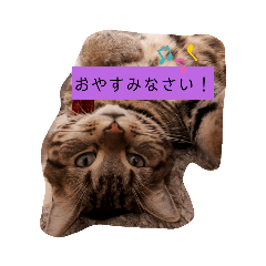 akiko_20200211143246