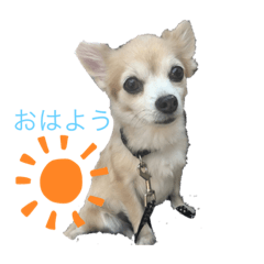 seira_20200211172608