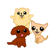 HAKATA puppy