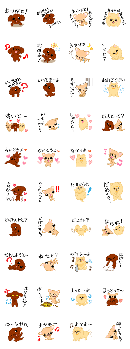 HAKATA puppy