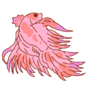 FlutteringBetta