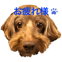 junko_20200211182236