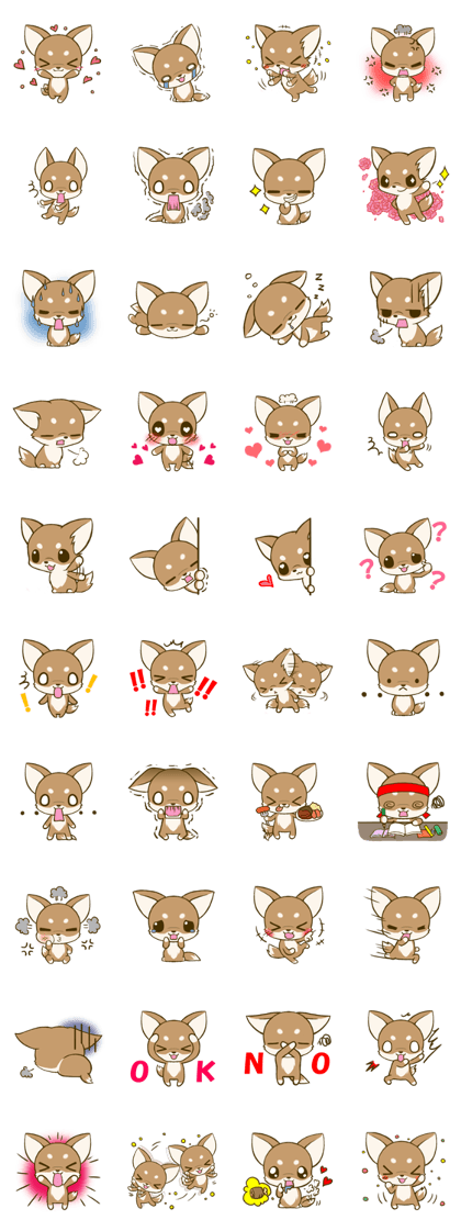 Chihuahuatan3