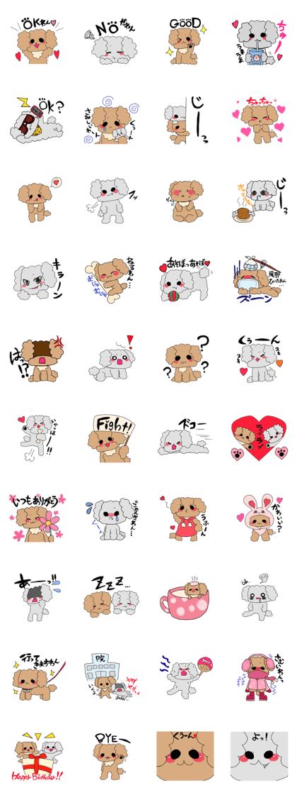 Good friend toy poodle