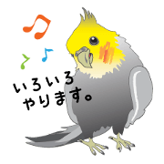 Ochame-inko