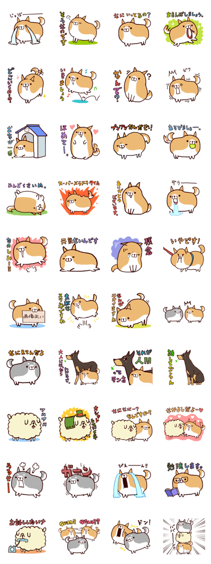 lazy shiba 2