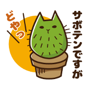 Cat cactus