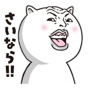 annoying ugly cat