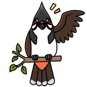Red-whiskered bulbul bird