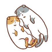 Scottish Fold's Sticker