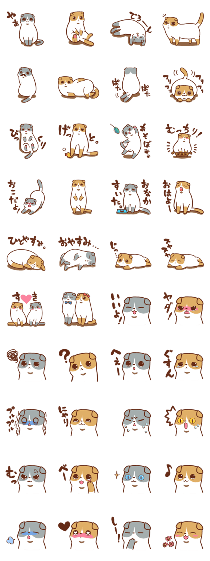 Scottish Fold's Sticker