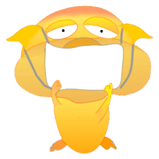 Golden pig