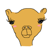 rakuda