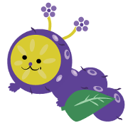 Satsumaimomusi