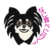 Uri Black Tan Chihuahua