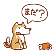 Cute face Animals