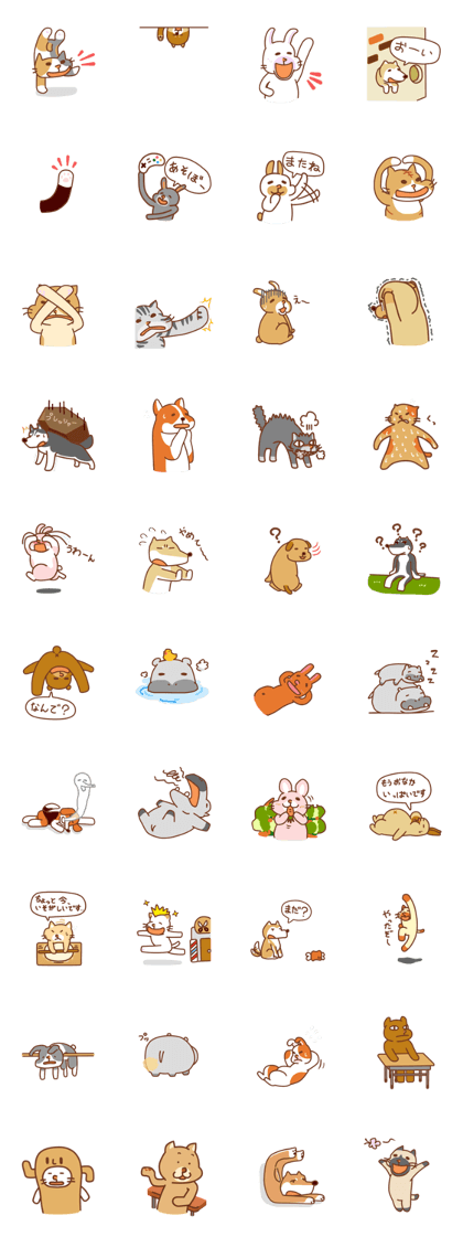 Cute face Animals