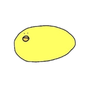 piyo-n chick