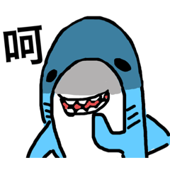 My Mr.Shark