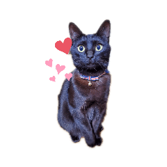 natsumi_20200212003125