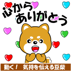 動く 気持を伝える豆柴 Line スタンプ Line Store