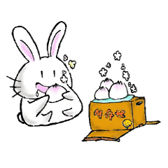 Rabbit and funny rabbit us