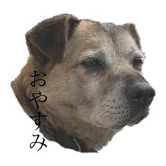 arisa_20200212011853