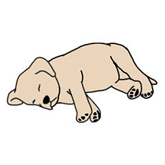 Labrador retriever yang mudah digunakan