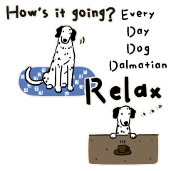 Every Day Dog Dalmatian