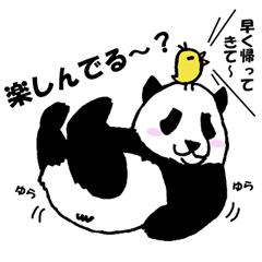 Let me be honest with a giant panda