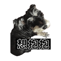 Flower - 你們的小活寶