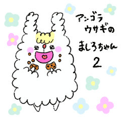 Angora rabbit Mashiro 2