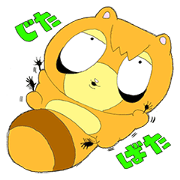 Maru of raccoon