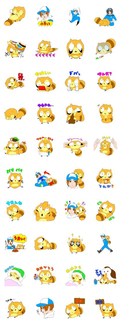 Maru of raccoon