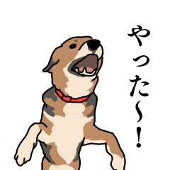 犬のアンちゃん 日常スタンプ