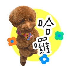 妞妞之家