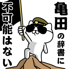 "KAMEDA"name/Military cat