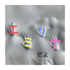 rina_20200212150101