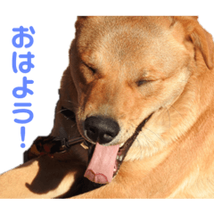 hana_205698764789